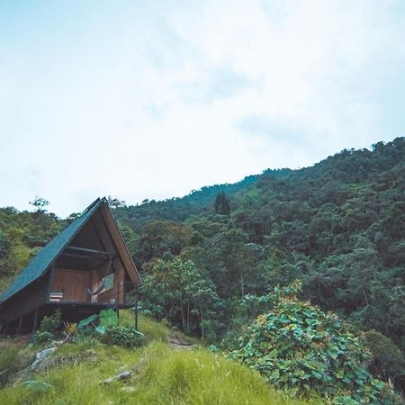 Ecolodge Cuentos De Agua Villamaría エクステリア 写真