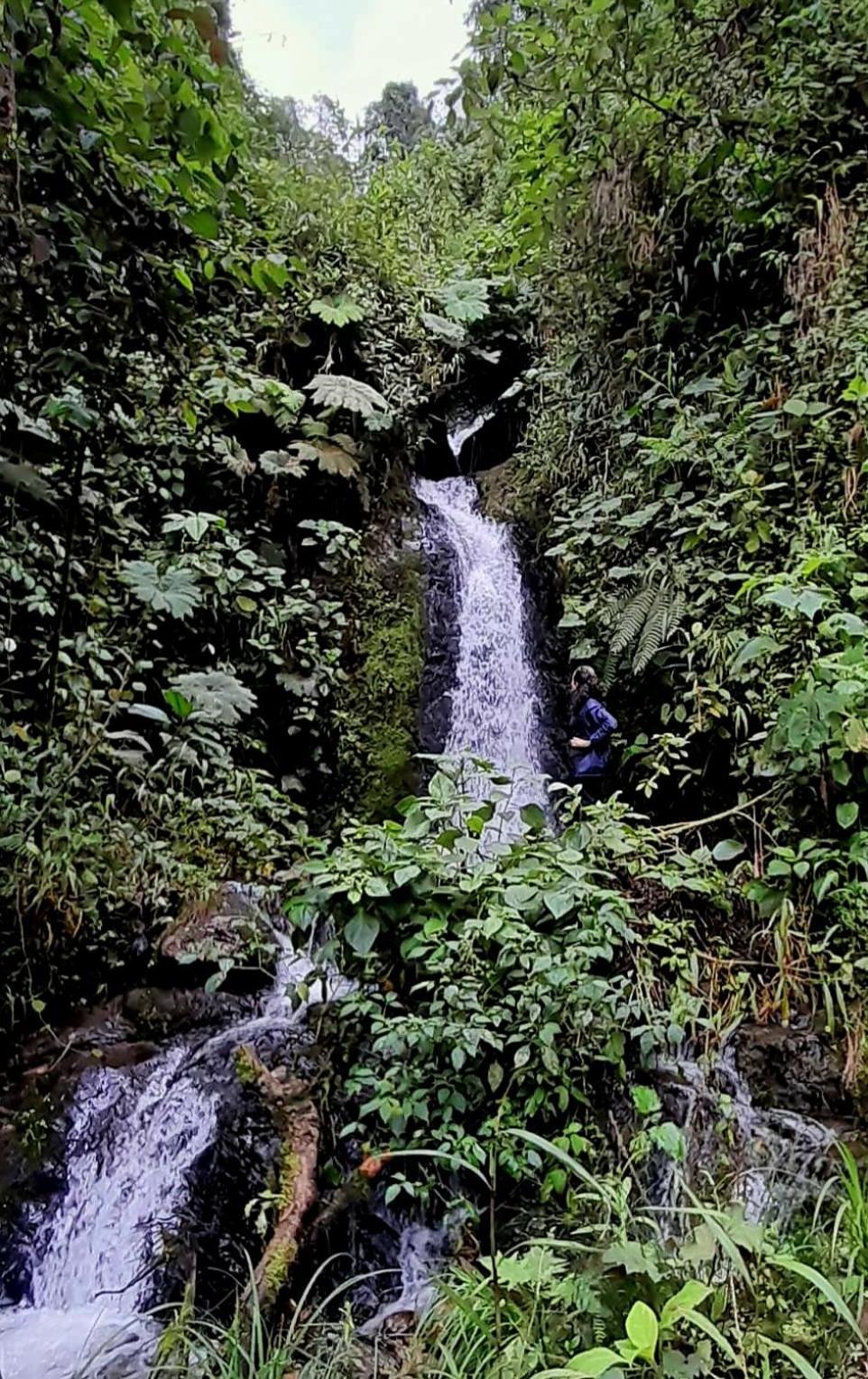 Ecolodge Cuentos De Agua Villamaría エクステリア 写真